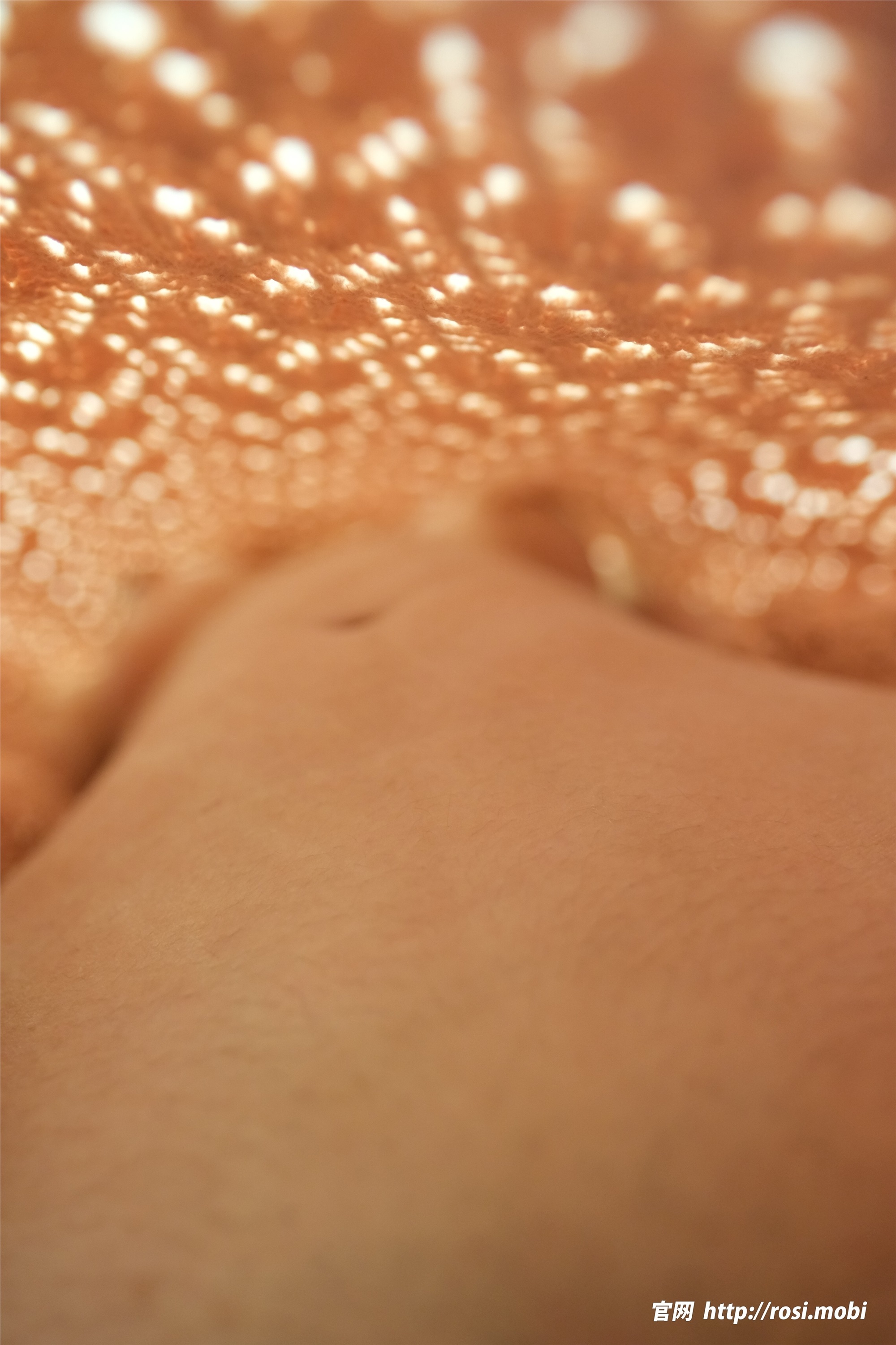 ROSI写真 2025.02.19 NO.4825